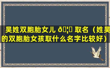 吴姓双胞胎女儿 🦅 取名（姓吴的双胞胎女孩取什么名字比较好）